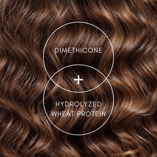 Absolute Discipline Masque