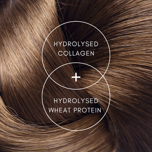 Cortex Repair Shampoo