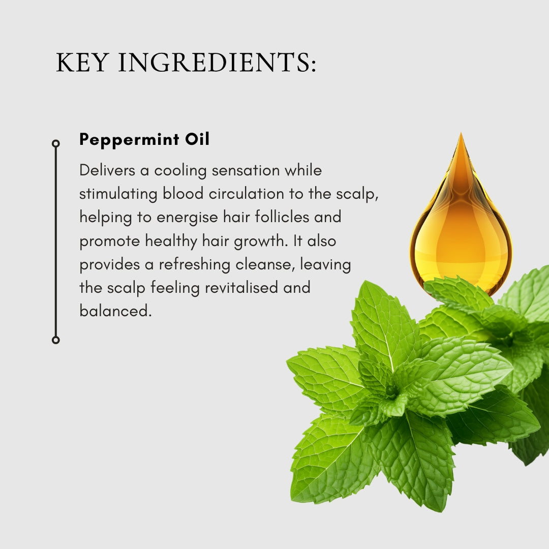 Mint Clean Shampoo