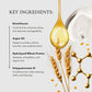 Absolute Discipline Masque